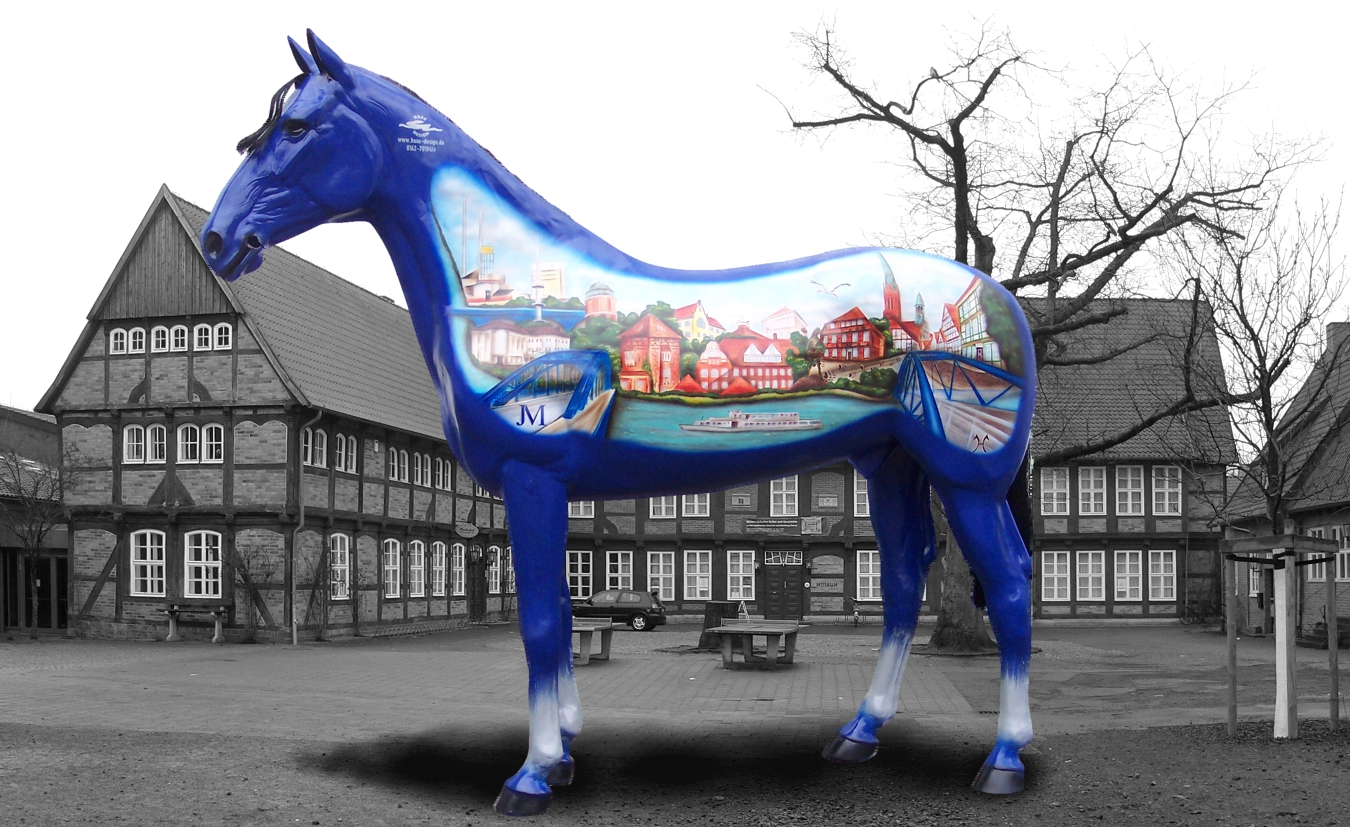 Pferd Nienburg